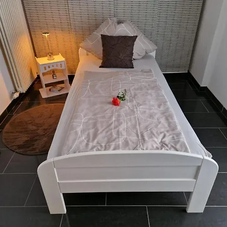 Zentrales City-apartment Mit Garage Und Arbeitsplatz Geeignet Fuer Business Und Familie شقة *