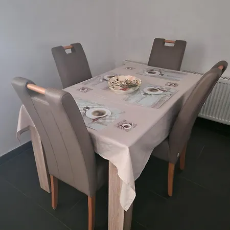 Apartament Zentrales City-apartment Mit Garage Und Arbeitsplatz Geeignet Fuer Business Und Familie *