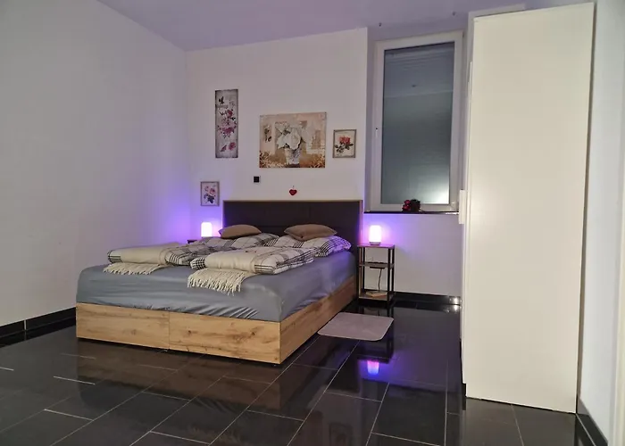Zentrales City-apartment Mit Garage Und Arbeitsplatz Geeignet Fuer Business Und Familie * דיסבורג