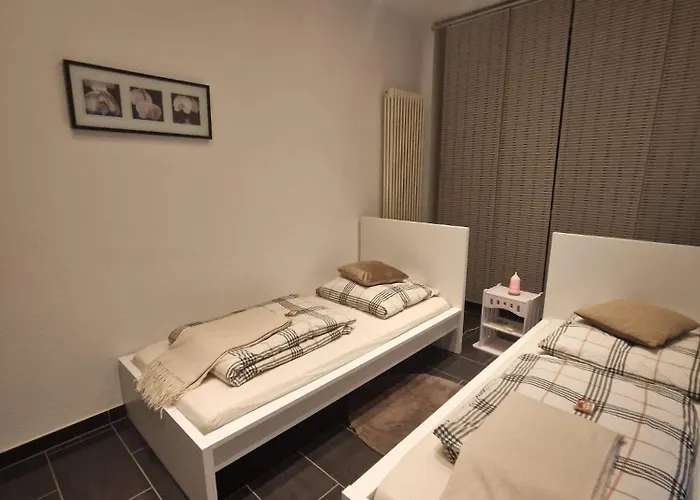 Zentrales City-apartment Mit Garage Und Arbeitsplatz Geeignet Fuer Business Und Familie * דיסבורג